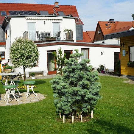 Pension Nr. 13 - B&B 피르나 외부 사진